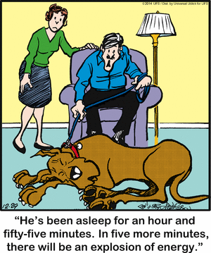 marmaduke